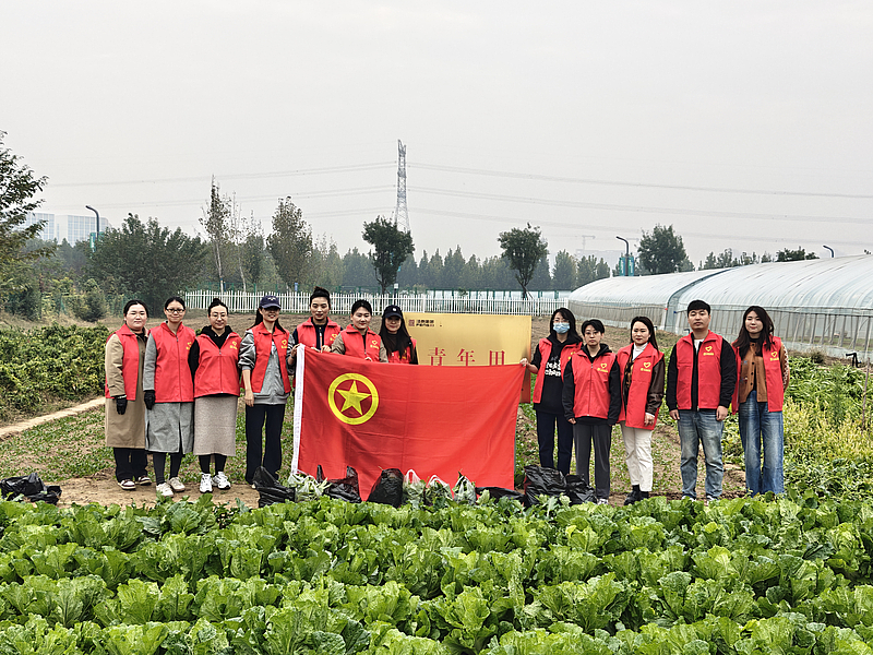 青春志愿行 温暖夕阳红 | 沣西集团团委开展爱老助老志愿服务活动