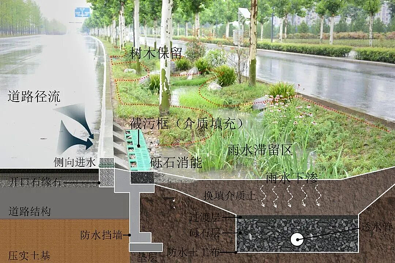 77990a2960d2bbfd96553db35e7725a3.jpg